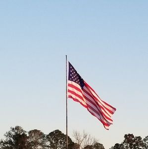 Meet your Posher, Phyllis